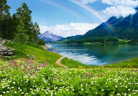 Rainbow over lake - wildflowers, rainbow, beautiful, meadow, mountain, lake