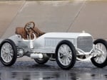 1906 White Beauty 