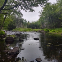 fishing brook