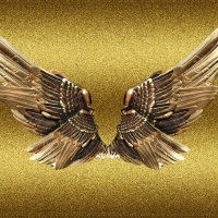 GOLD WINGS