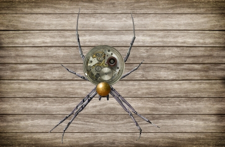 STEAMPUNK SPIDER - STEAMPUNK, SPIDER, WOOD, METAL