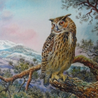 Great Owl