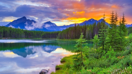 Herbert Lake, Banff National Park - clouds, trees, sky, canada, mountains, alberta, sunset