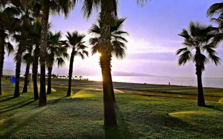 Beach in Andalusia, Spain - sera, palms, Spain, beach