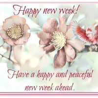 HAPPY NEW WEEK