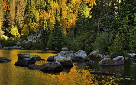 Rocky Mountain National Park in Colorado - Gold, Yellow, Forest, Orange, Ripples, Rocks, Sunlight, Water, Beams, Green, Reflection