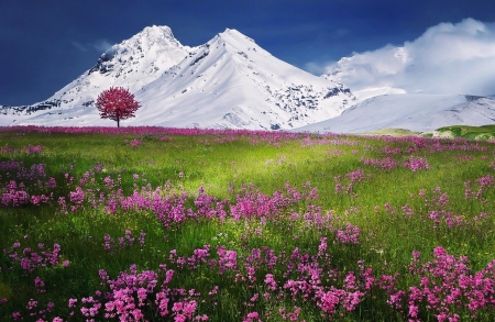 Snowy Mountains