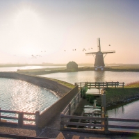 Landscape in Netherlands 