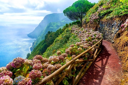 Sao Miguel, Azores, Portugal - Portugal, coast, sea, island, walk, mountain, flowers, view, Azores, rocks