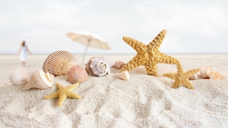 Seashells and starfish on the beach - seashell, summer, beach, landscape, scene, starfish, nature, holiday, wallpaper