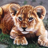 Young Lion