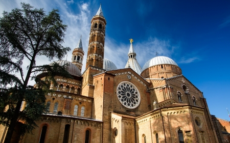 Cathedral in Italy - cathedral, church, Padua, Italy