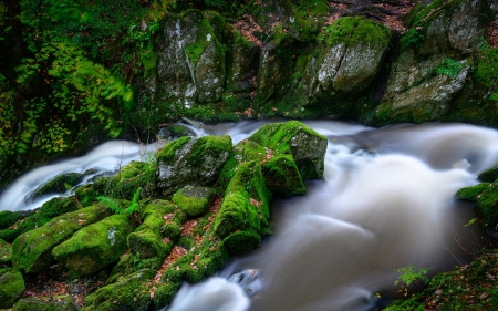 River in the Forest - river, moss, nature, forest, lake, stones