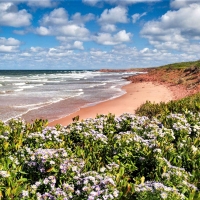 Prince Edward island