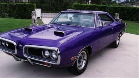 Dodge Coronet....1970..Muscle - Muscle, Car, Purple, Tracy Chapman, Fast, Charger, Dodge