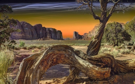 monument valley - sunlight, trees, rock, shrubs, grass, dead tree