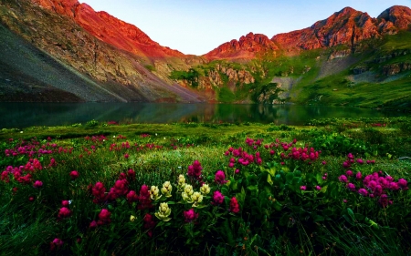 Clear Lake Morning, Colorado - flowers, landscape, mountains, summer