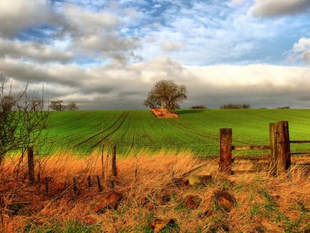 Lines! - sky, farms