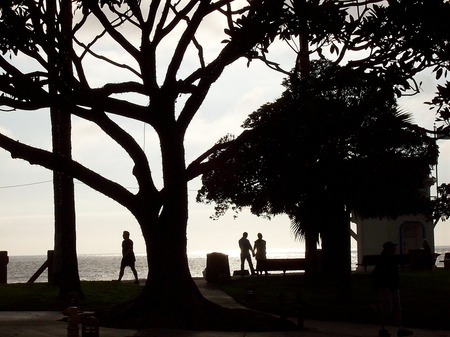 The Proposal - trees, lovers, photography, black and white, laguna