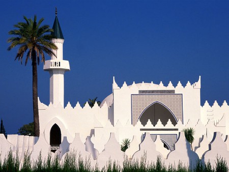 Mosque Of The King Abdul-Aziz  - white, spain, tree