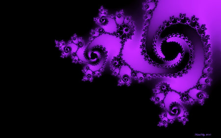 Rosetta - fractal, spirals, rose, black, cg, fuschia, fractals, purple, dark, pink, spiral