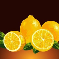 Clip art Lemons .jpg