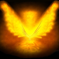 phoenix2520rising2520Logo.jpg