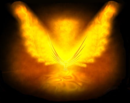 phoenix2520rising2520Logo.jpg - gold, rising, phoenix