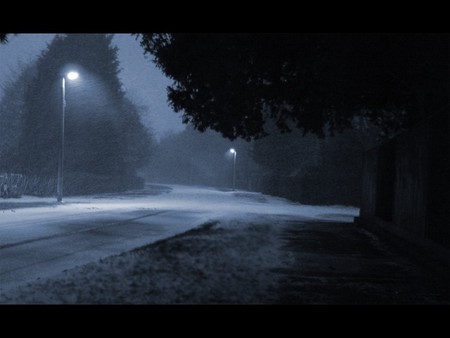 HIDING FROM THE STORM - shelter, rain, night, lamppost, storm