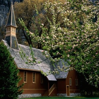 Church and blossoms