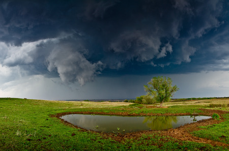 SINGLE TREE BY POND - tree, dark, pond, clouds