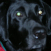 My buddy REX