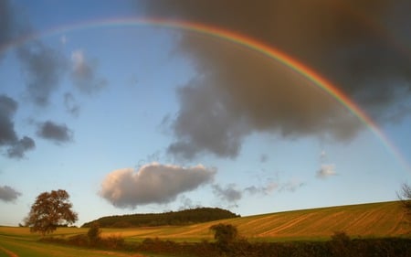 Rainbow - skies, rainbow, nature, fields