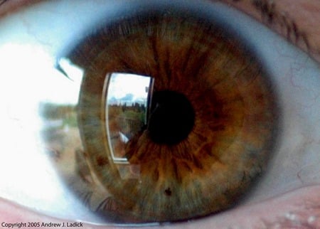 Kimberlys Eye - womans, human, eye, photograph, hazel