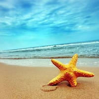 Sea Star