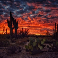 Sunset near Tucson, Arizona