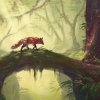 The fox
