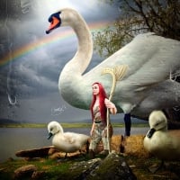 Swan guardian