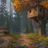 Tree house in the forest