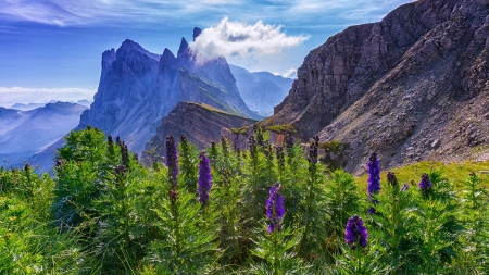 Ortisei in Val Gardena, Dolomites, Italy - flowers, clouds, alps, summer, south tyrol, sky