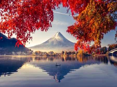 Mt Fuji as From Across the Lake Kawaguchiko - scenery, japan, autumn, water, red leaves, mountain, lake