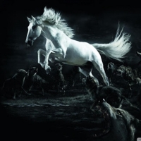 ...Escape Plan...'Ride Like the Wind'