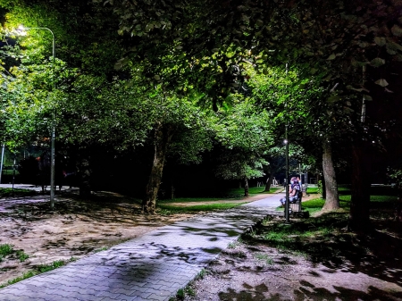 night in the park - Alley, Trees, Light, People, Dark