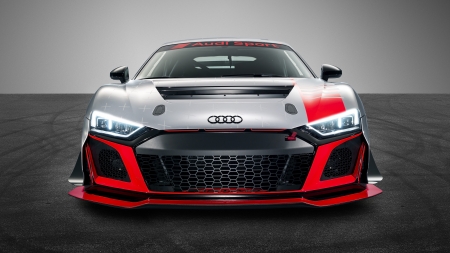 Audi R8 LMS GT4 2019 - Audi R8 LMS GT4 2019, cars, front view, vehicles, gray cars, audi r8