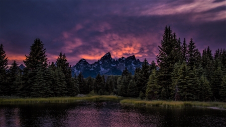 purple sunset - lake, trees, sunset, sky