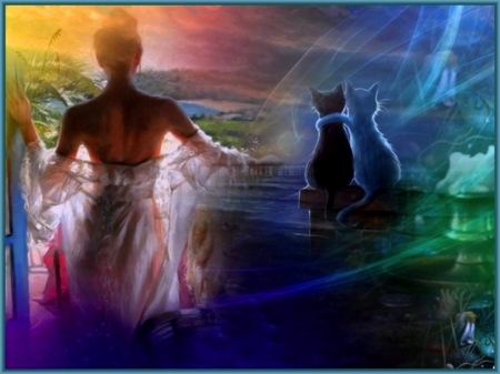 Abendstimmung - abend, ausblick, farben, katzen, liebe, myhstisch, stimmung