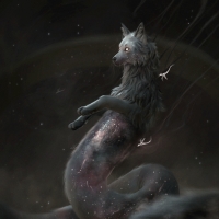 The long galaxy fox