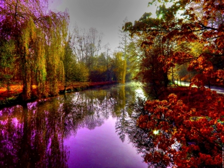 Colorful Lake - Fence, Purple, Bank, Blowers, Bushes, Browns, Forest, Mist, Shoreline, Dark, Sunlight, Water, Walkway, Rust, Green, Weeping Willow, Sky, Trees, Leaves, Road, Orange, Lake, Grey, Reflection, Fog