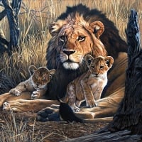 Lion and Cubs