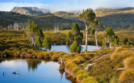 australia out back - trees, hills, tasmania, shrubs, grass, lakes